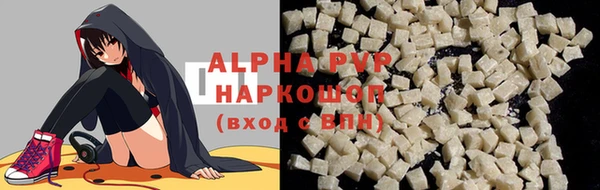 СК Алексин