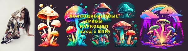 СК Алексин