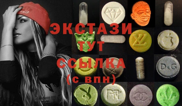 СК Алексин