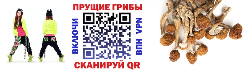 сколько стоит  Пролетарск  Галлюциногенные грибы ЛСД 